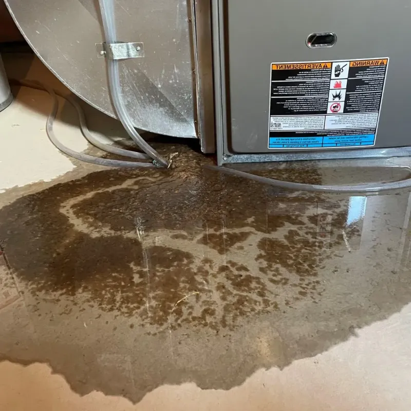 Pipe Burst and Leak Restoration in Chippewa County, MN