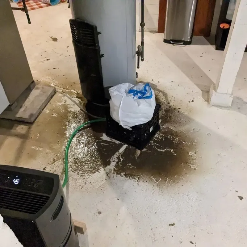 Sewage Backup Cleanup Service in Chippewa County, MN